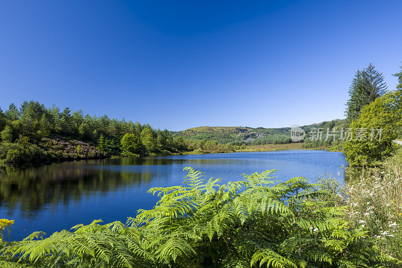 Lochan Reòidhte的平静水域，位于英国苏格兰特罗萨克斯的阿伯福伊尔附近的三湖大道上